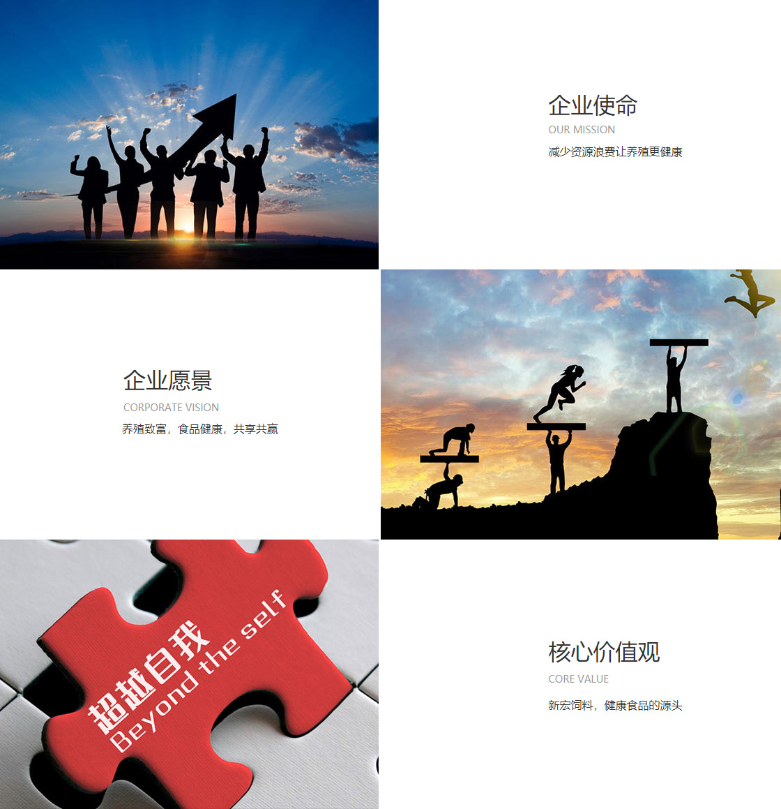 zoty中欧体育全站(图1)