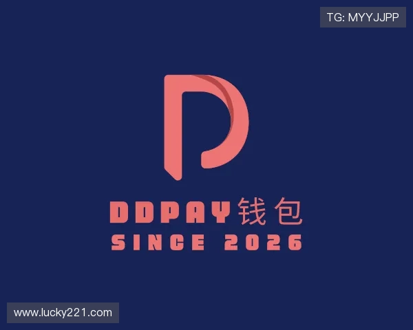 了解DDpay钱包